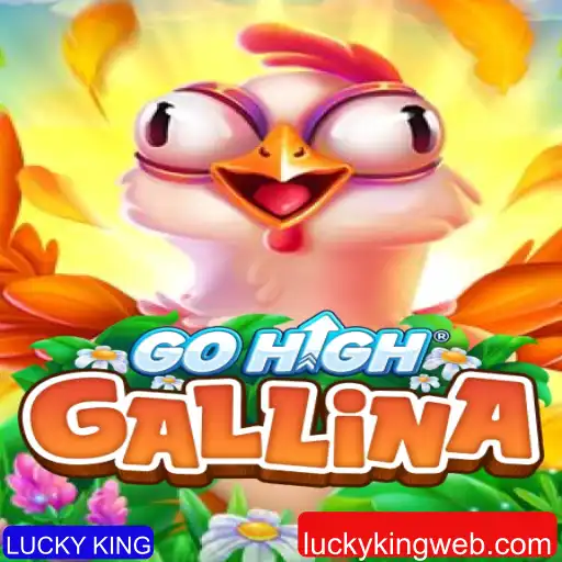 Descubra o Fascinante Mundo de GoHighGallina